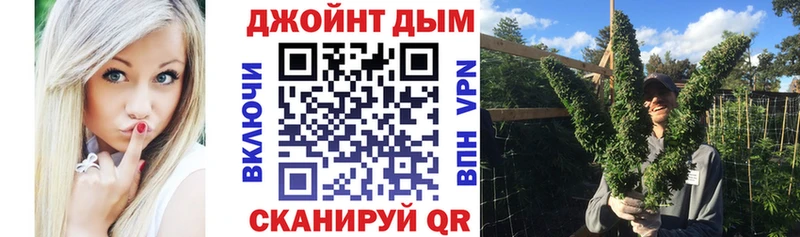 где купить наркотик Сасово маркетплейс формула Бошки марихуана VHQ МЕГА ССЫЛКА